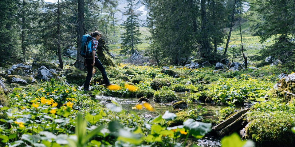 So schön ist der Frühling in der Südsteiermark